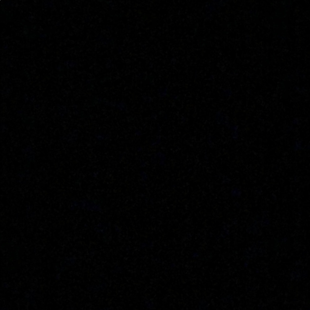 Meet your Posher, Cami